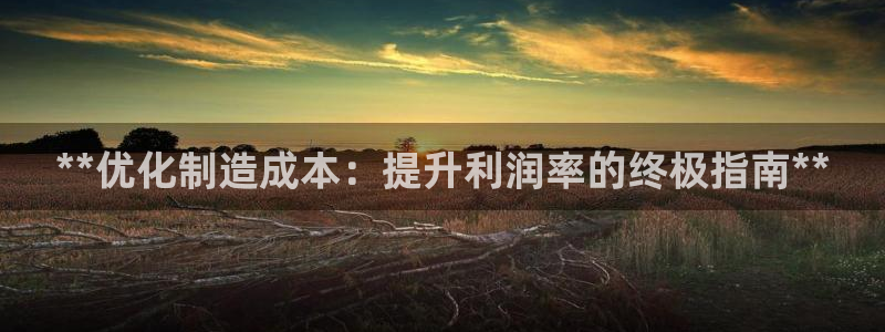 彩神vip购彩大厅：**优化制造成本：提升利润率的终极指南**