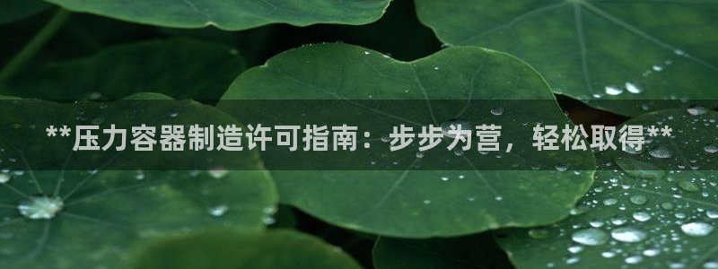 彩神v：**压力容器制造许可指南：步步为营，轻松取得**