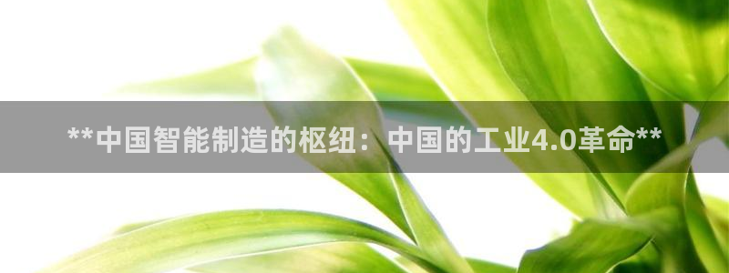 彩神VII购彩中心：**中国智能制造的枢纽：中国的工业4.0革命**