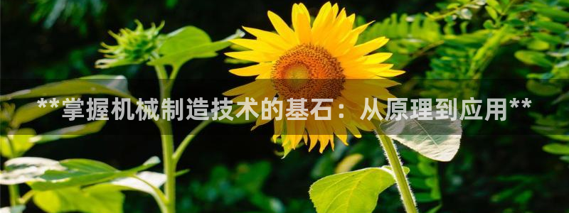 彩神V集团有限公司：**掌握机械制造技术的基石：从原理到应用