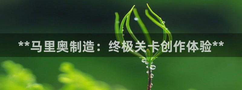 彩神争霸官方下载2017：**马里奥制造：终极关卡创作体验**