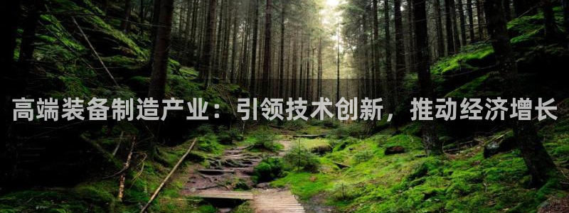 彩神网官网登录：高端装备制造产业：引领技术创新，推动经济增长