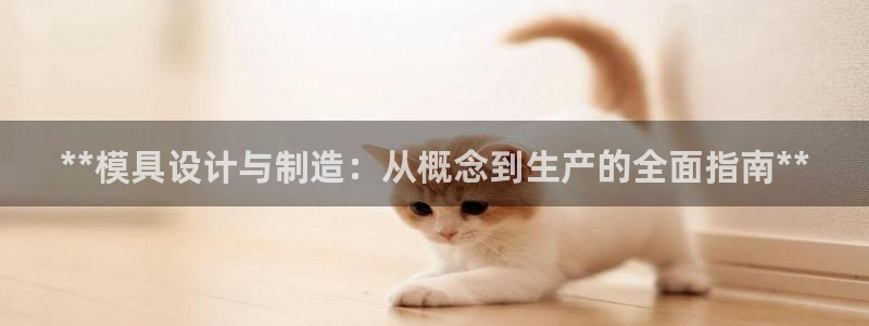 在彩神网输了六万多怎么拿回来：**模具设计与制造：从概念到生