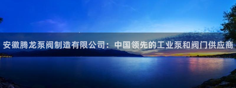 彩神vll首页：安徽腾龙泵阀制造有限公司：中国领先的工业泵和阀门供应商