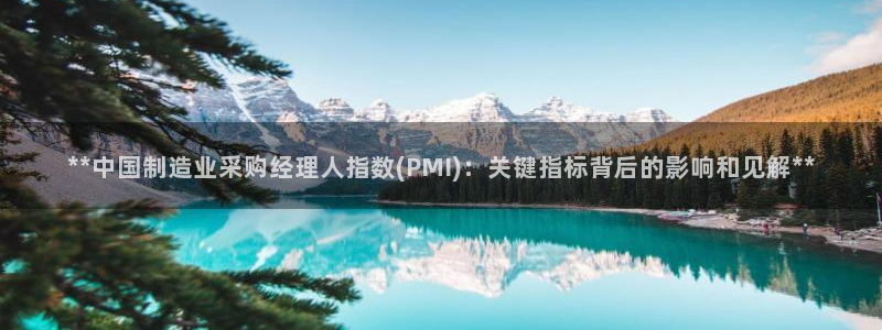 彩神购彩-购彩大厅入口计划群：**中国制造业采购经理人指数(PMI)：关键指标背后的影响和见解**