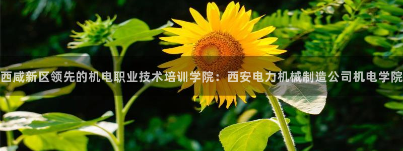 彩神8最新版下载：西咸新区领先的机电职业技术培训学院：西安电力机械制造公司机电学院