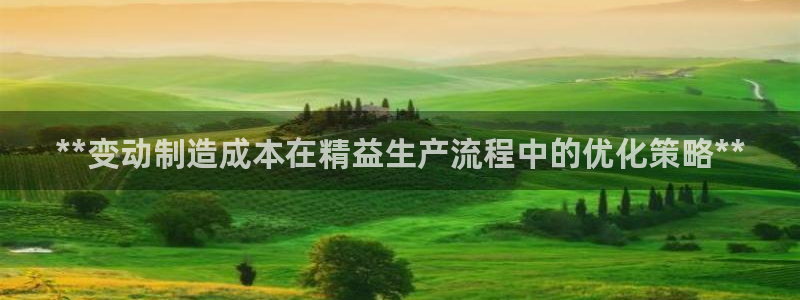 彩神vlll(中国)百度百科：**变动制造成本在精益生产流程中的优化策略**