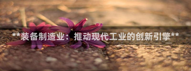 天天彩神welcome：**装备制造业：推动现代工业的创新引擎**