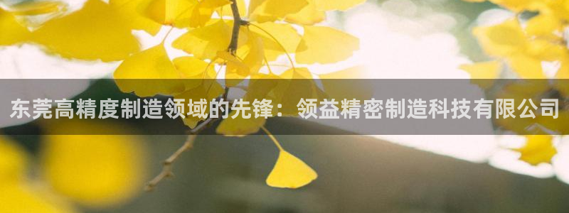 彩神vlll官方网：东莞高精度制造领域的先锋：领益精密制造科技有限公司