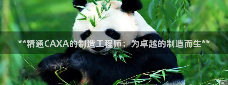 彩神赢的钱是哪里来的啊：**精通CAXA的制造工程师：为卓越