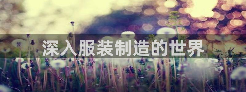 彩神v8几个版本