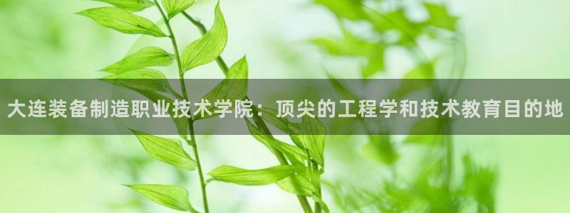 彩神ix可靠吗：大连装备制造职业技术学院：顶尖的工程学和技术教育目的地