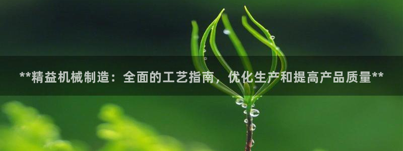 彩神是怎样一个平台：**精益机械制造：全面的工艺指南，优化生产和提高产品质量**