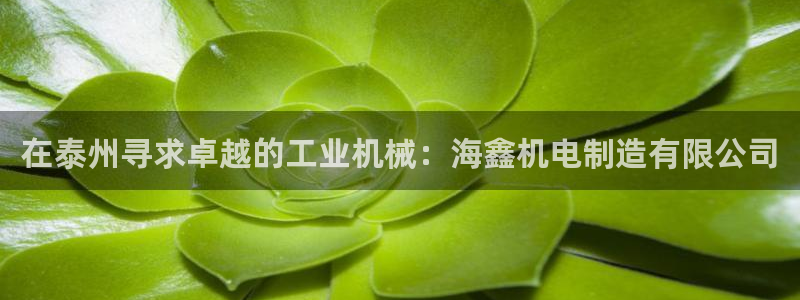 彩神v8平台正规吗