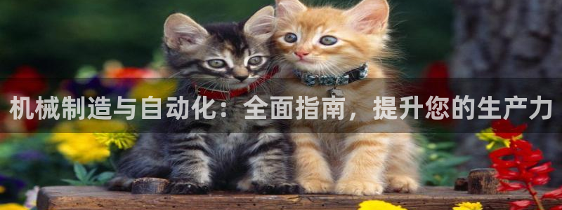 彩神VI首页