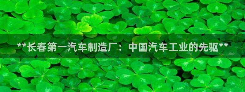 天天赢彩神