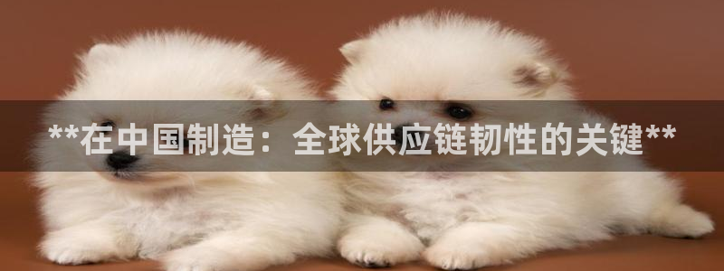 彩神8是正规平台吗知乎