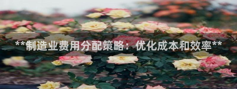 v大发彩神8iii