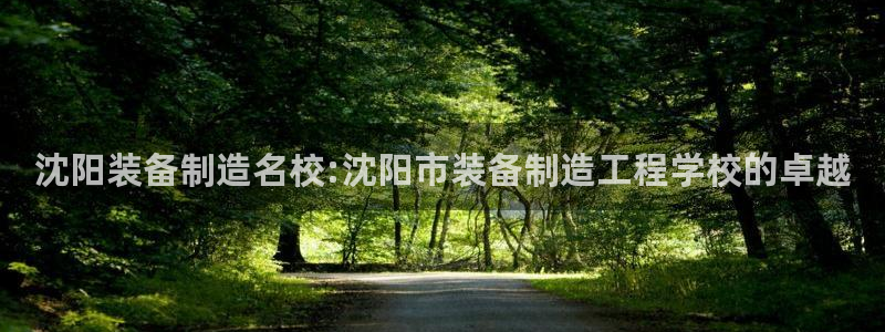彩神v8手机客户端