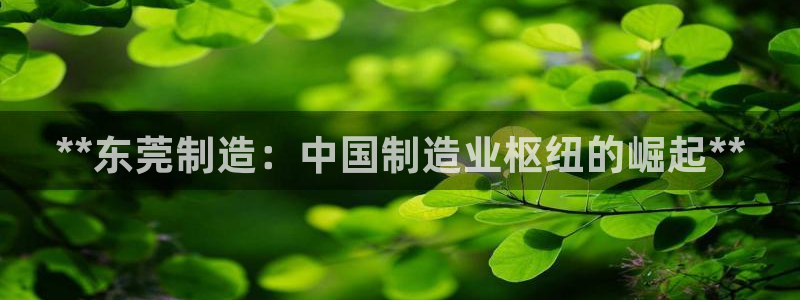 彩神v
