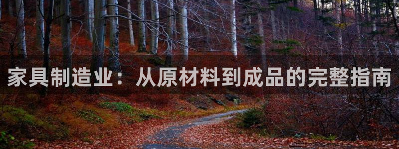 彩神viii下载安卓