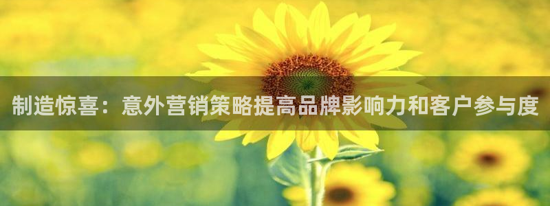 彩神V购彩大厅