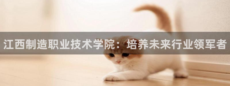 彩神v8是一个什么平台