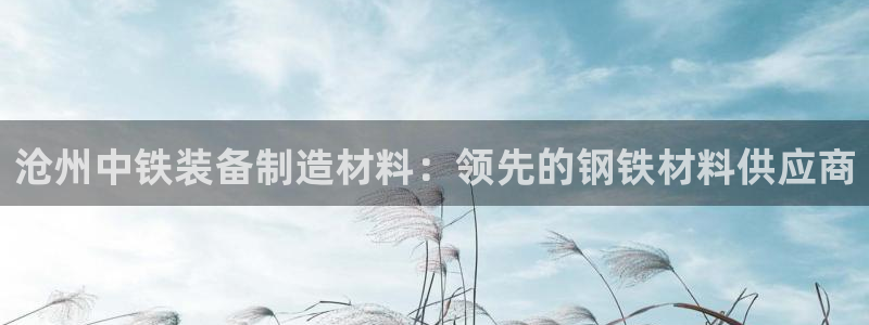 彩神vllⅰ购彩大厅