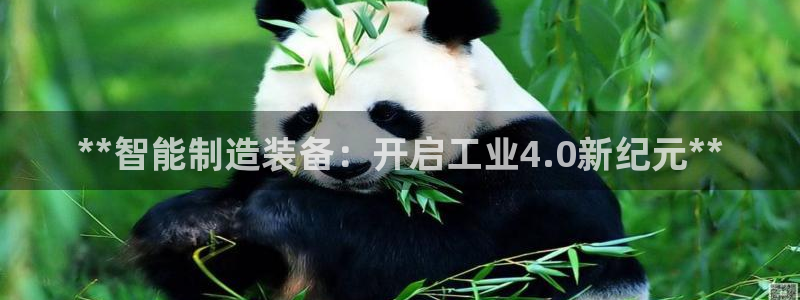 彩神网合法吗