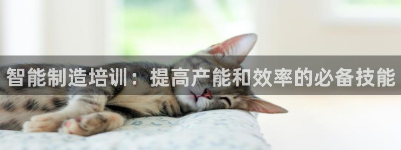 彩神vll首页环球