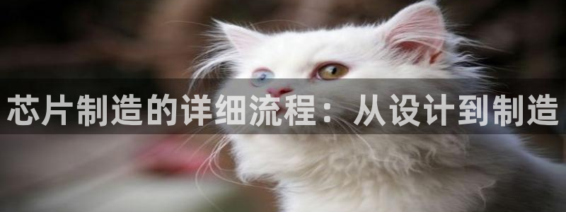 彩神v8iii