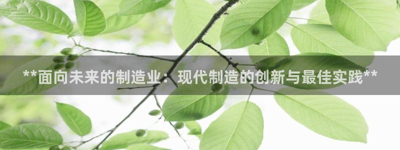 彩神趣购彩用户注册：**面向未来的制造业：现代制造的创新与最