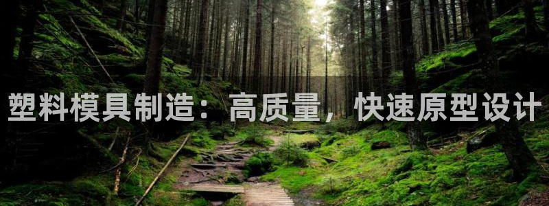 彩神v8下载app5.0：塑料模具制造：高质量，快速原型设计
