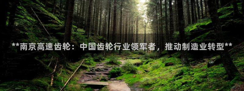 彩神购彩-购彩大厅入口500：**南京高速齿轮：中国齿轮行业领军者，推动制造业转型**