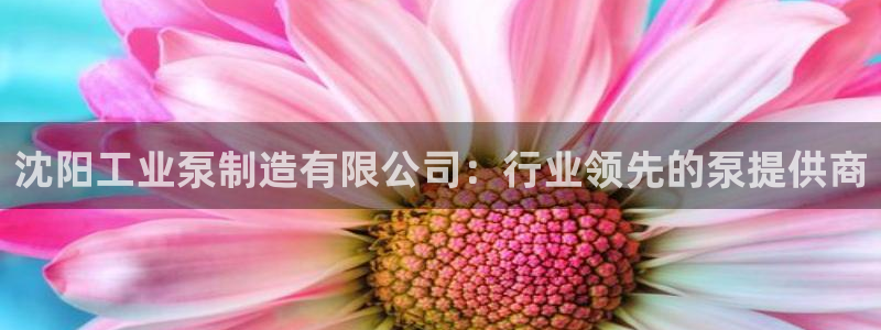 彩神争霸老平台：沈阳工业泵制造有限公司：行业领先的泵提供商