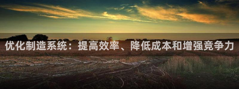 彩神的邀请码是多少：优化制造系统：提高效率、降低成本和增强竞争力