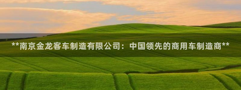 彩神ix能赚钱吗：**南京金龙客车制造有限公司：中国领先的商用车制造商**