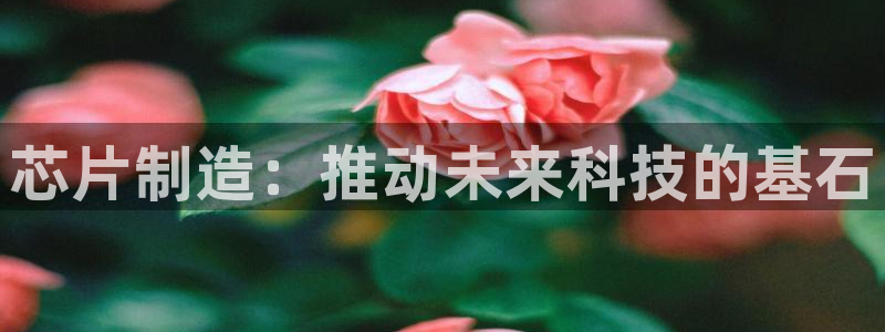 彩神赢的钱是哪里来的：芯片制造：推动未来科技的基石