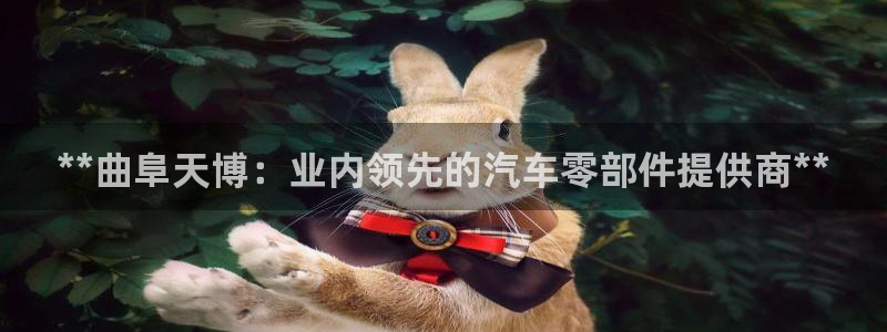 彩神盈利图片：**曲阜天博：业内领先的汽车零部件提供商**