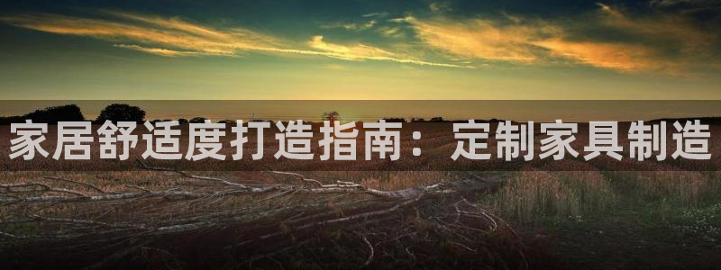 下载彩神v8：家居舒适度打造指南：定制家具制造