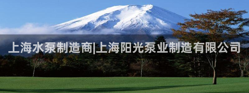 彩神v破解版：上海水泵制造商|上海阳光泵业制造有限公司