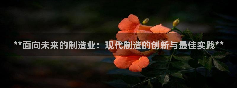 彩神ix官网：**面向未来的制造业：现代制造的创新与最佳实践**