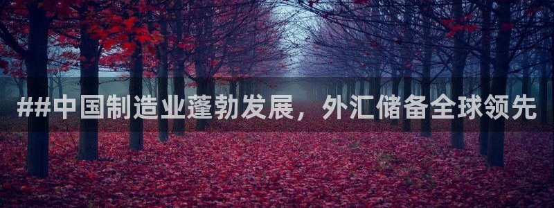 彩神iv是正规平台吗?：##中国制造业蓬勃发展，外汇储备全球领先