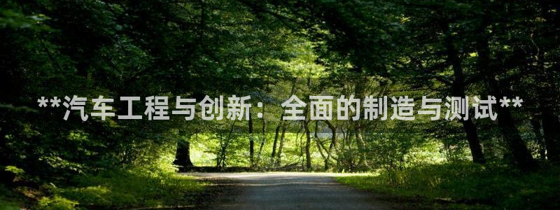 彩神v8手机客户端：**汽车工程与创新：全面的制造与测试**