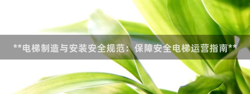 彩神8官网版：**电梯制造与安装安全规范：保障安全电梯运营指