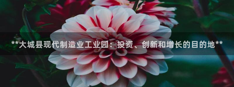 彩神 好 平台：**大城县现代制造业工业园：投资、创新和增长