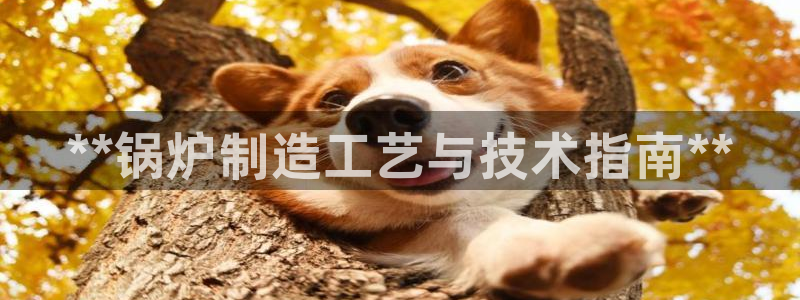 天天赢彩神：**锅炉制造工艺与技术指南**