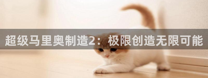 彩神Vll购彩大厅：超级马里奥制造2：极限创造无限可能
