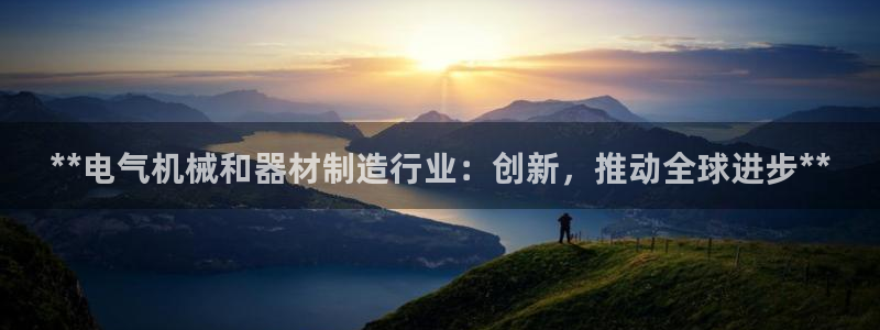 彩神客服电话：**电气机械和器材制造行业：创新，推动全球进步**