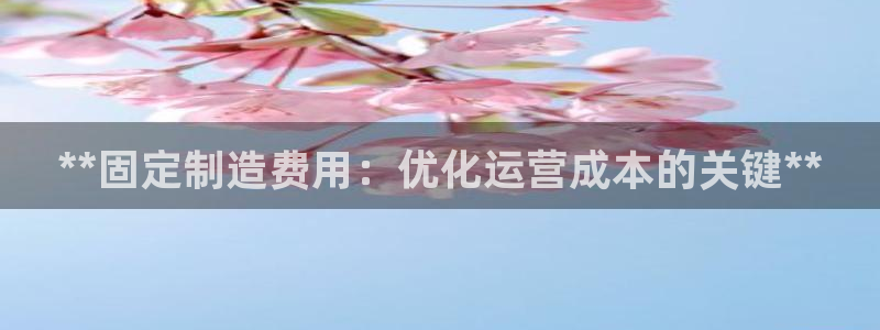彩神赢的钱是哪里来的：**固定制造费用：优化运营成本的关键**